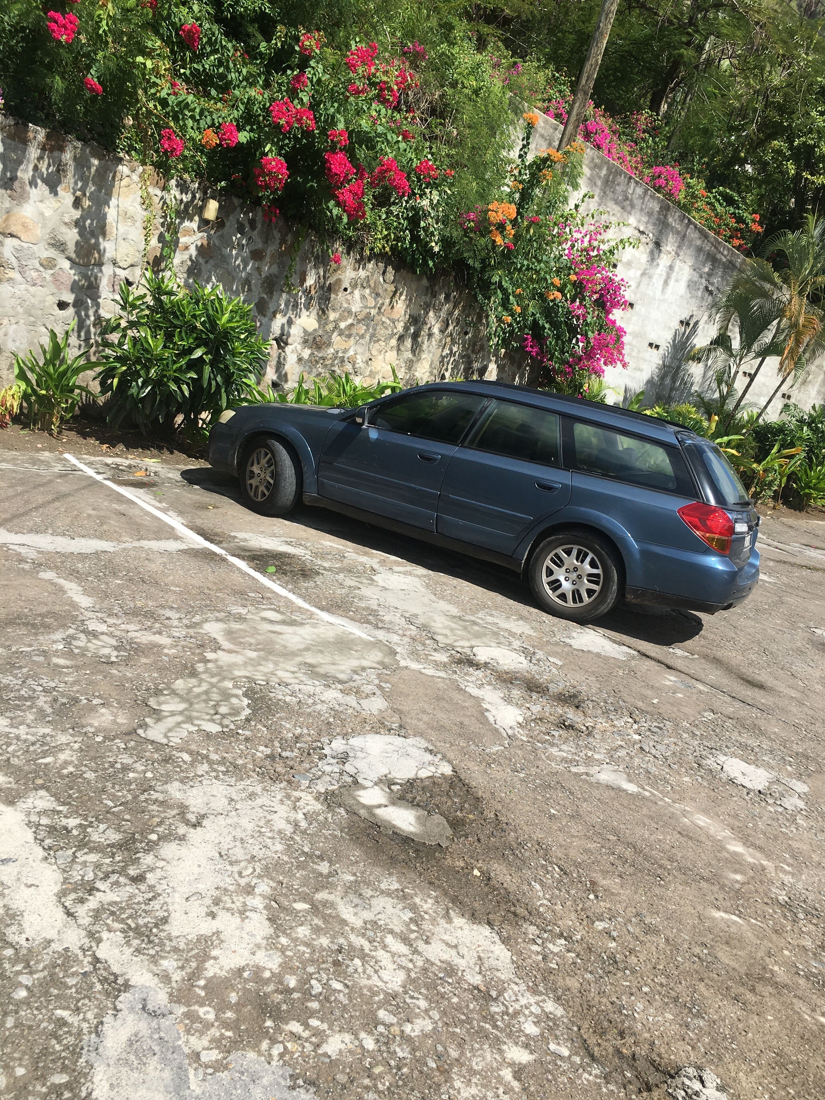 A blue car parked in a lot with a concrete wall and flowering plants.