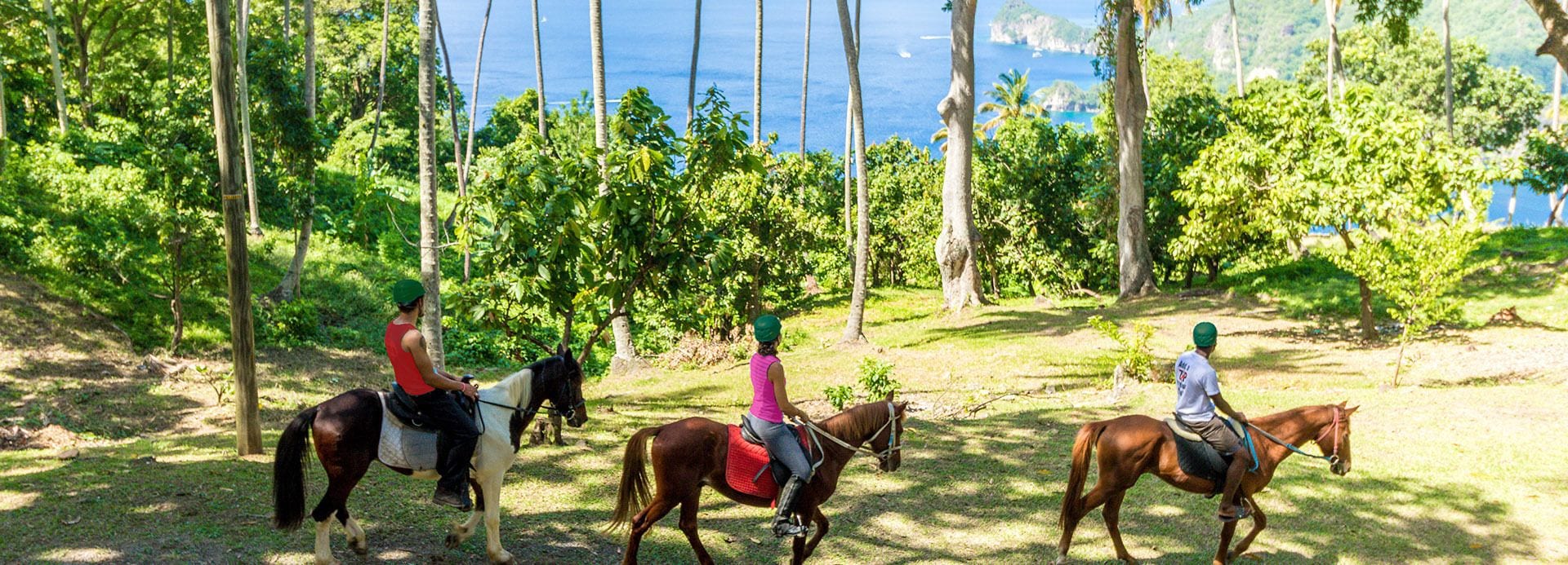 Three people riding horses in a grassy area with trees and a body of water in the background.