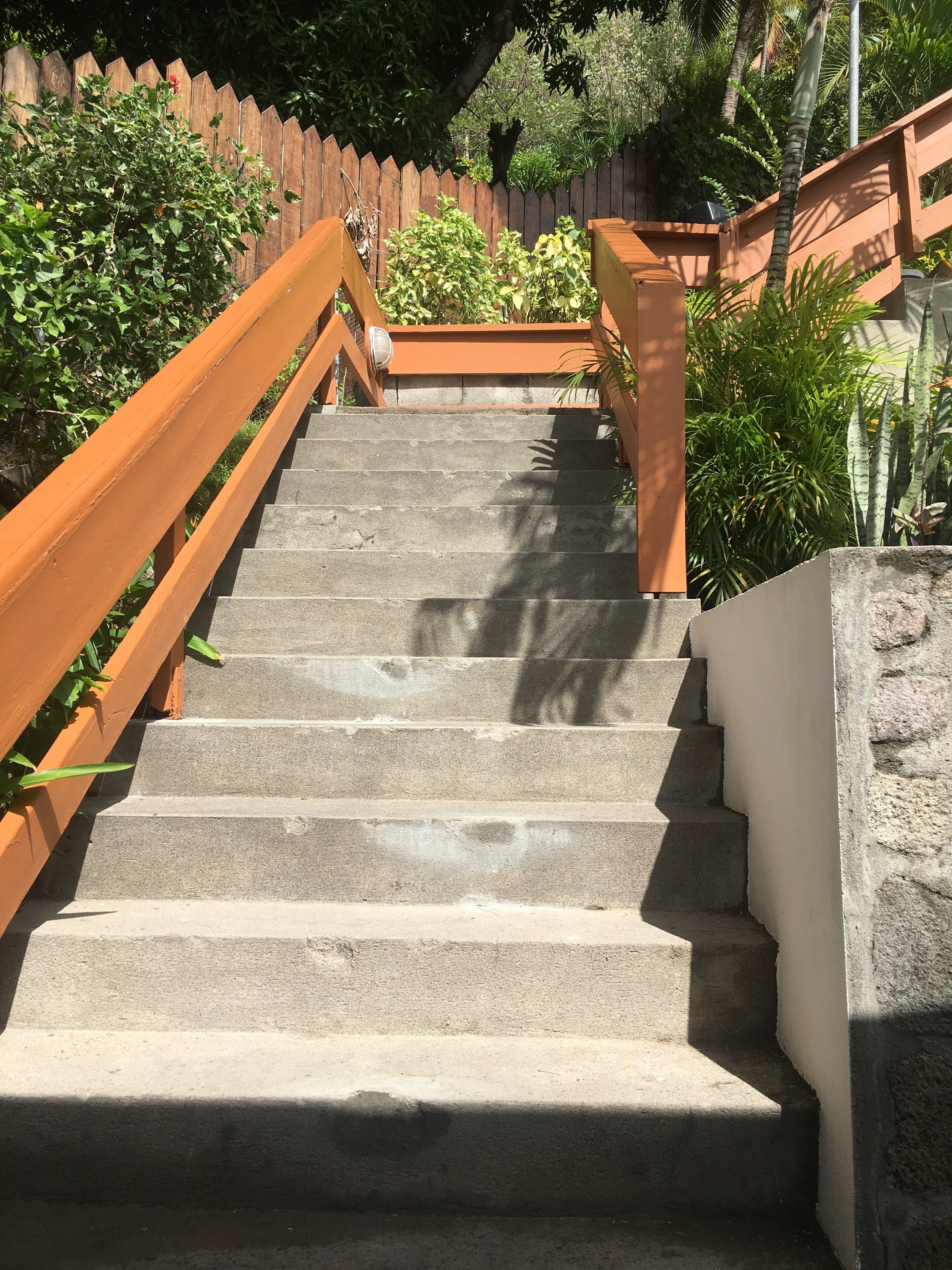 A set of stone steps with a wooden handrail, leading up to a wooden fence.
