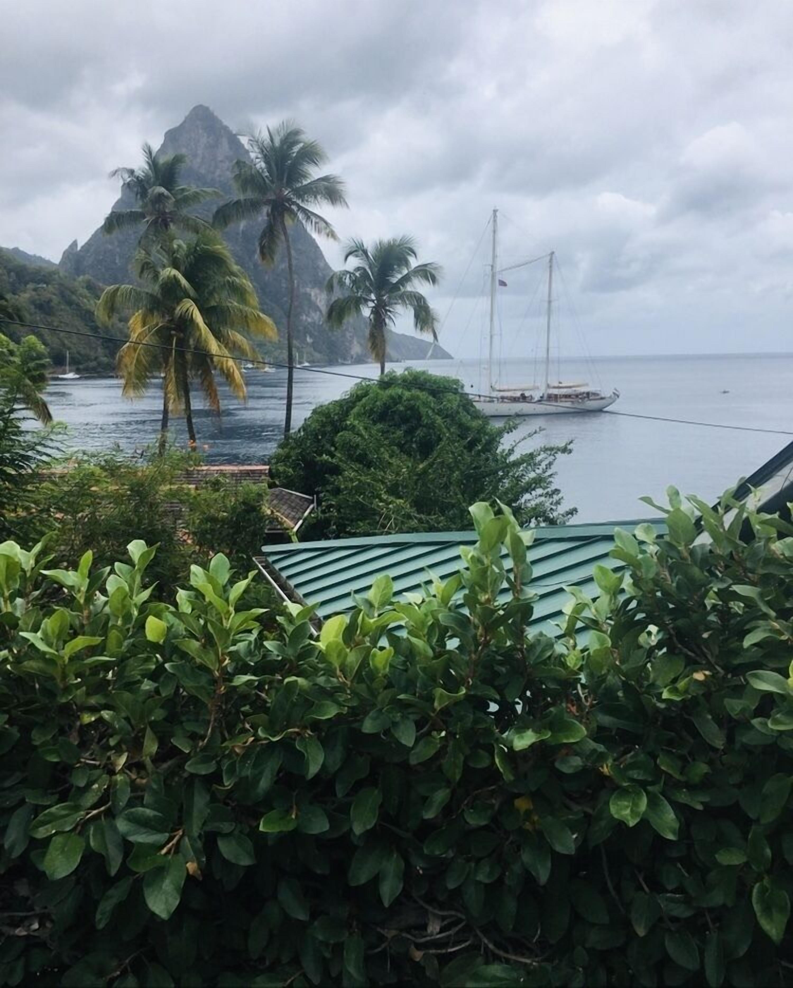 A coastal view with a mountain, palm trees, and a sailboat.