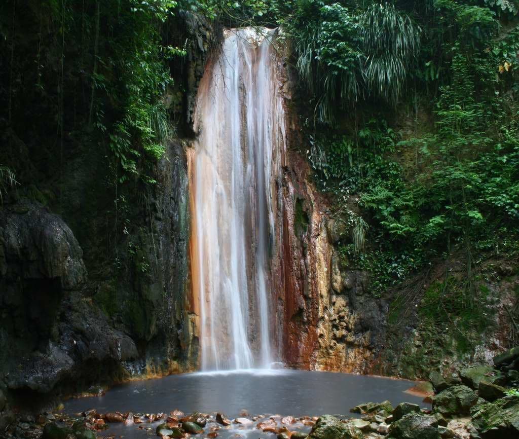 A waterfall in a forested area with a pool at the base.