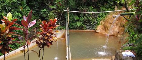 A natural water feature with a wooden bridge and a stone platform.