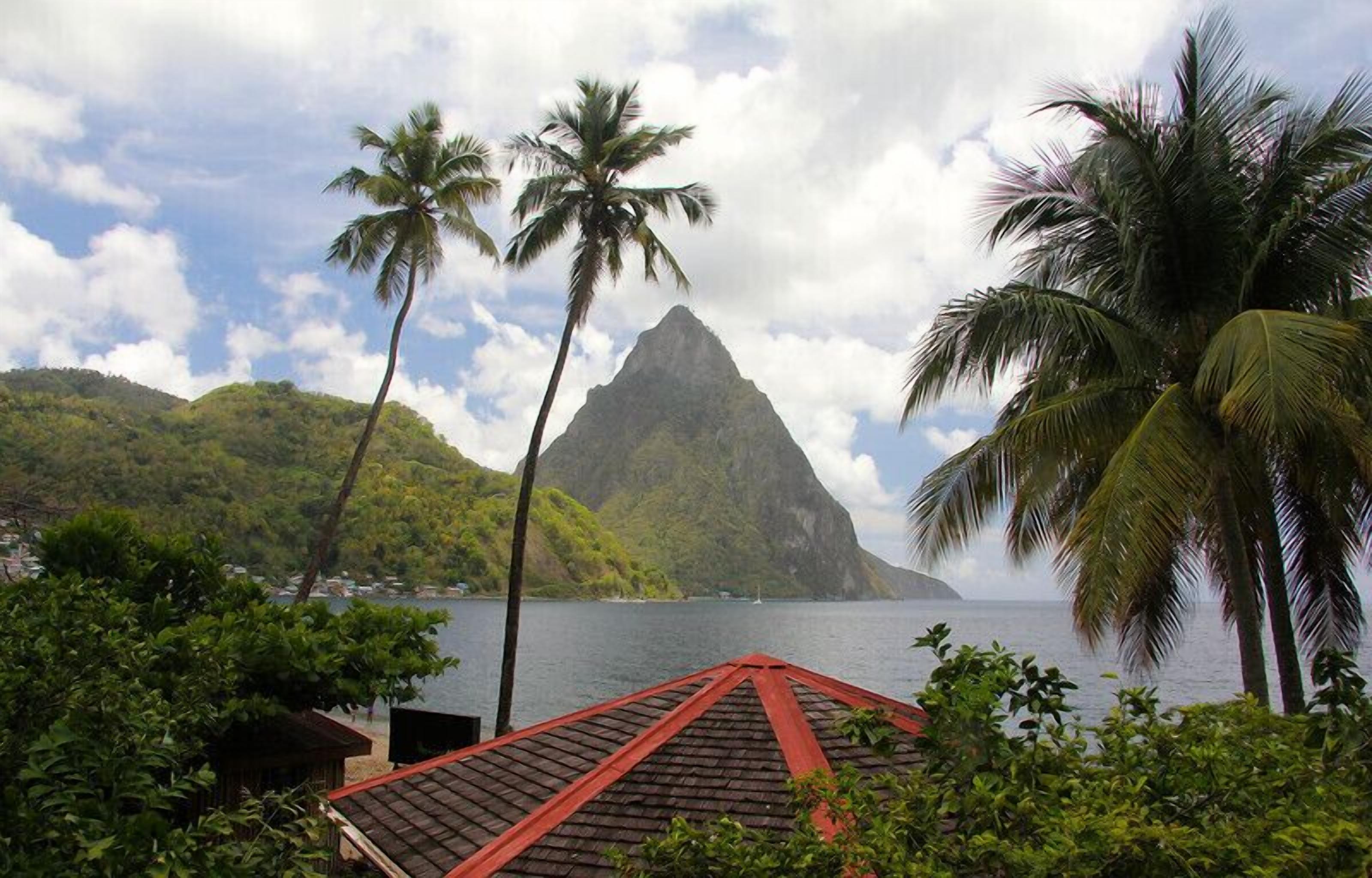 A coastal view with a prominent mountain, palm trees, and a building with a red roof.