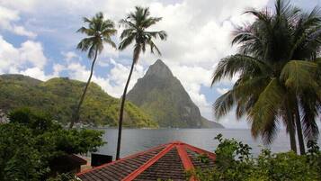 A coastal view with a prominent mountain, palm trees, and a building with a red roof.