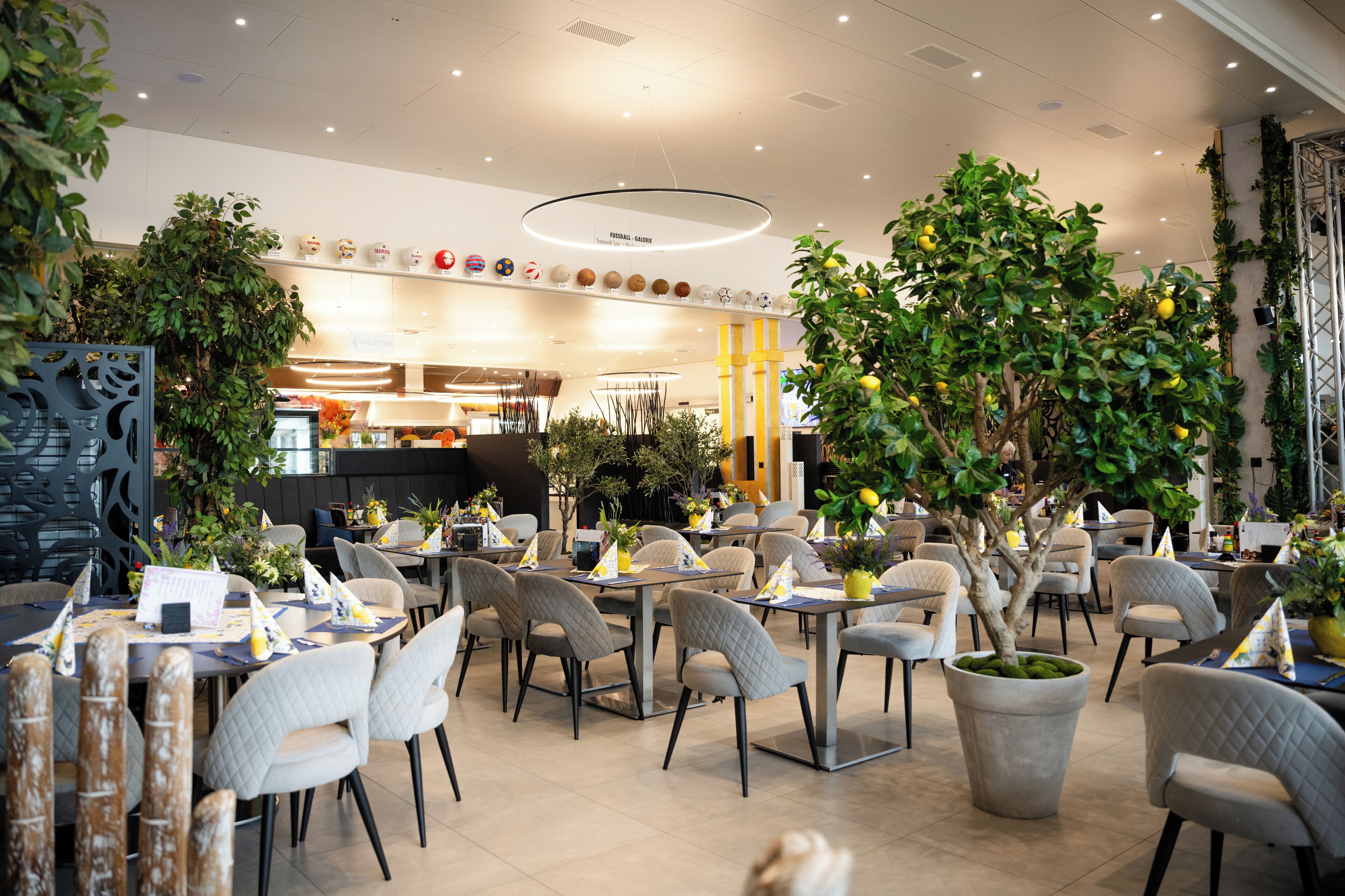 Un restaurant avec des tables rondes, des chaises et des plantes en pot.