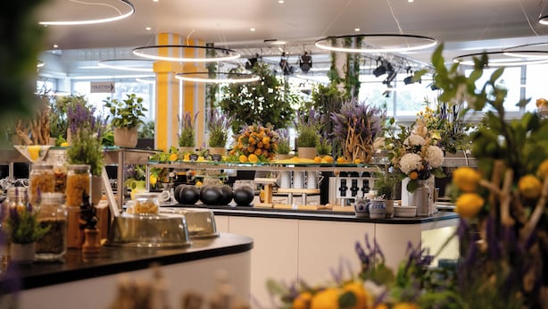 Una cocina moderna con una isla central, distintos electrodomésticos y plantas en macetas.