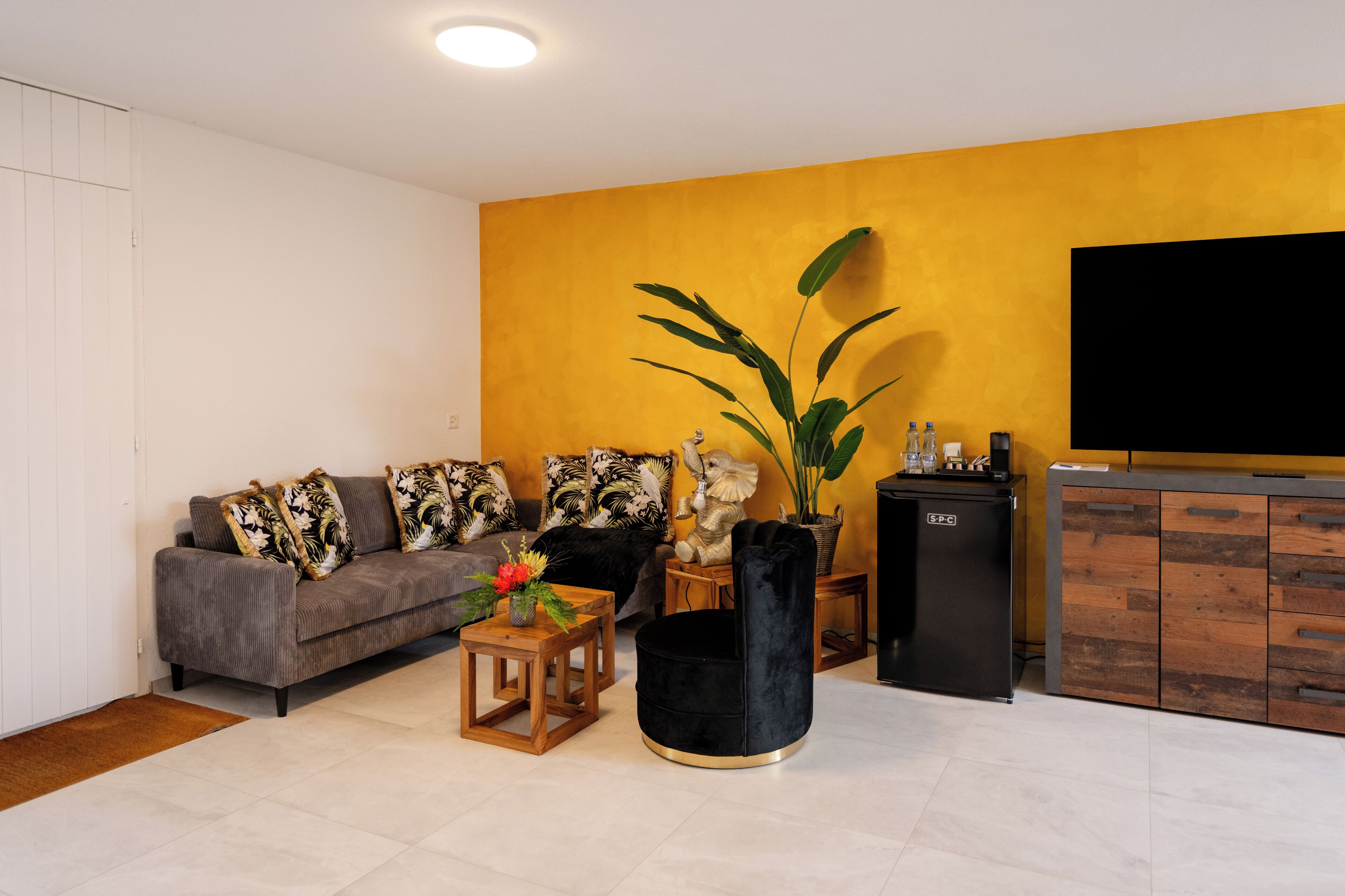 Un salon avec un canapé, une table basse et un téléviseur.