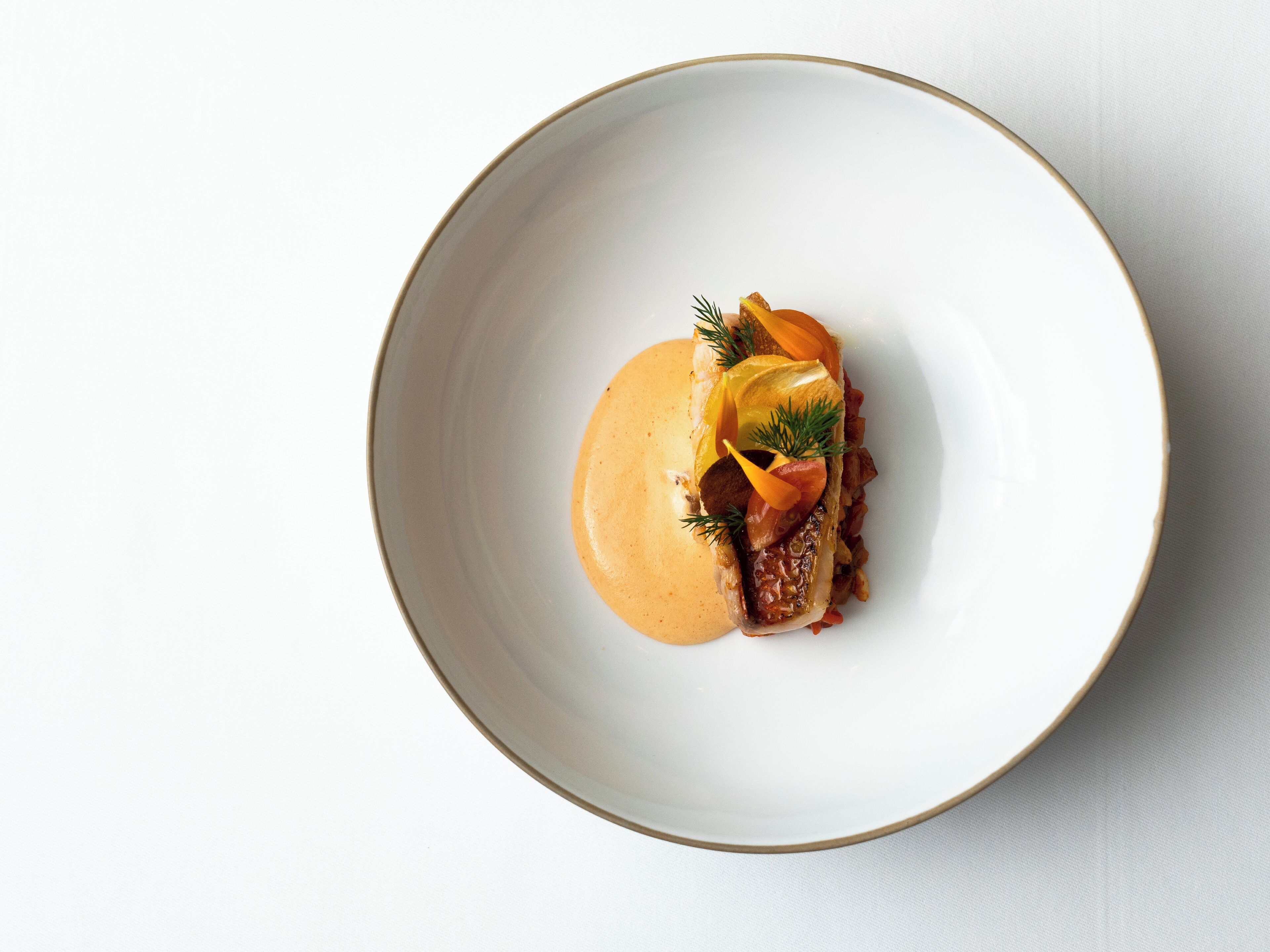 A white plate with a dish of food, including a piece of meat, vegetables, and a sauce.