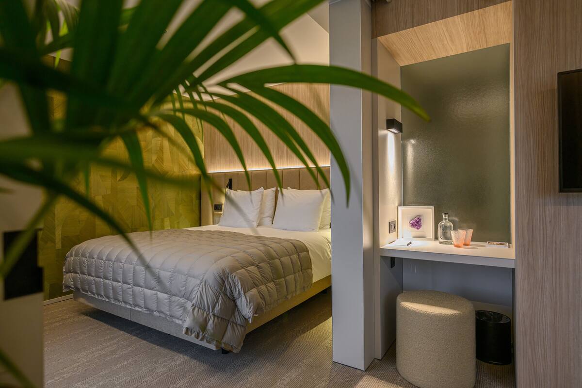A modern hotel room with a bed, bedside table, mirror, and a potted plant.