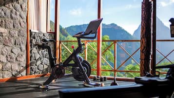 A stationary bike with a laptop on it, a pair of dumbbells, and a treadmill in a room with a view of mountains and greenery.