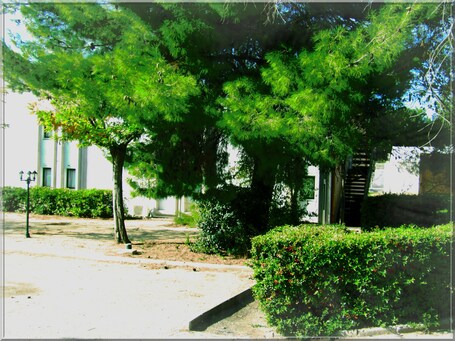 Jardín