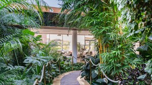 Un sentier luxuriant aménagé dans un jardin intérieur, avec un plancher en bois et un tapis à motifs, entouré d’une végétation tropicale dense et d’un bâtiment en verre en arrière-plan.