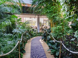 供应早餐、午餐和晚餐，法国菜，泳池景观