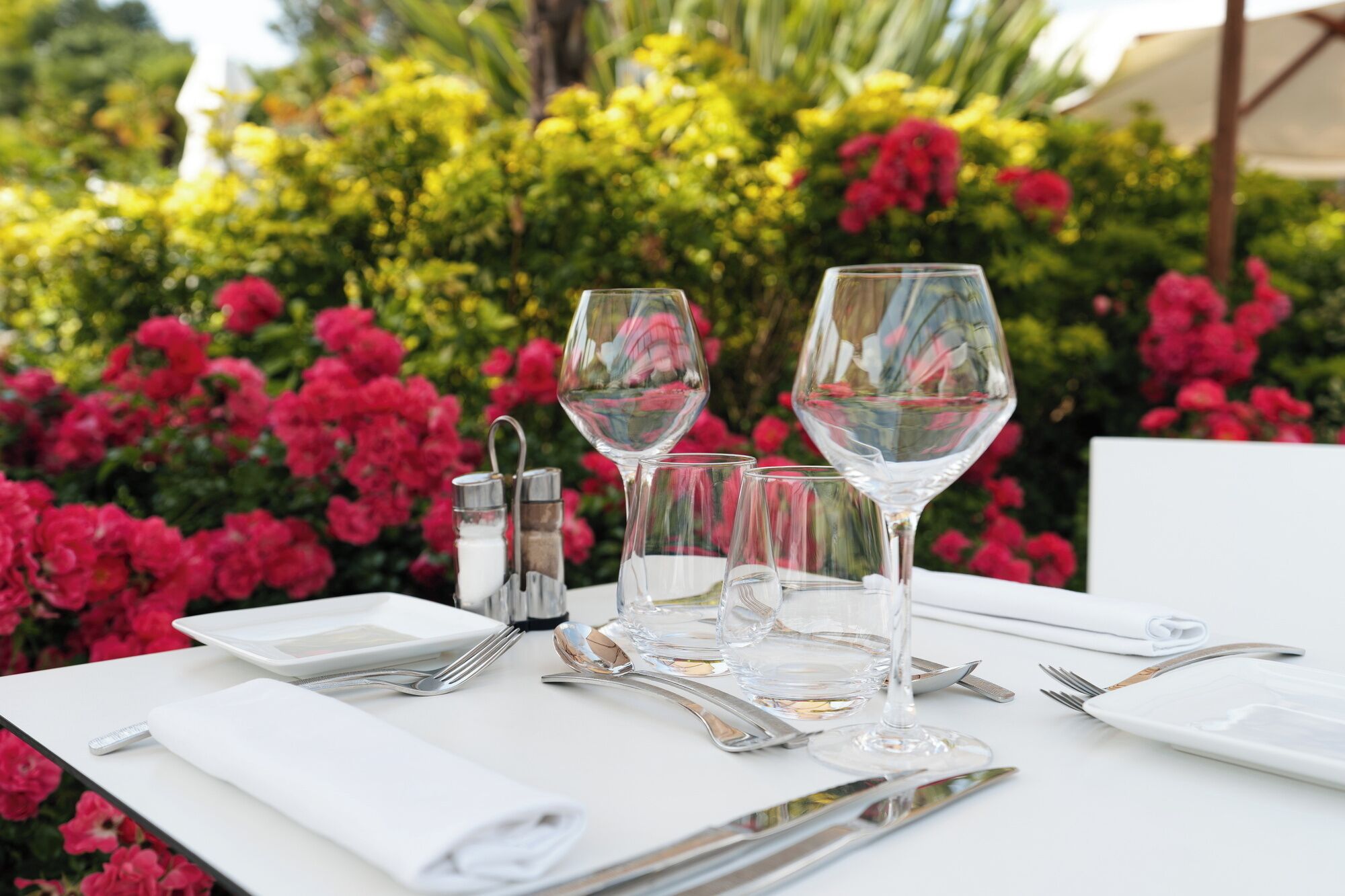 Une table mise pour le dîner, avec des verres à vin, des couverts et un salier et un poivrier.
