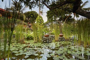 Jardín
