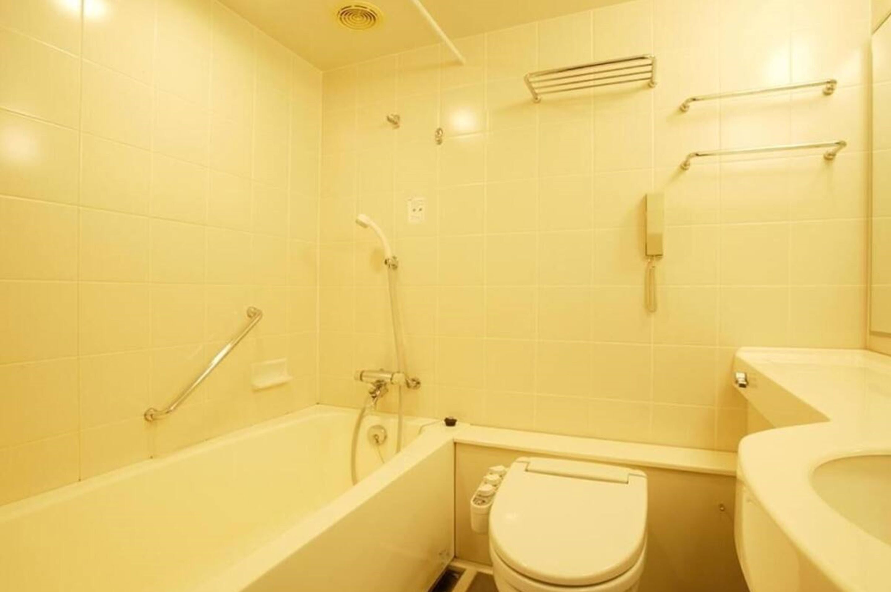 combined shower/bathtub, hair dryer, slippers, bidet