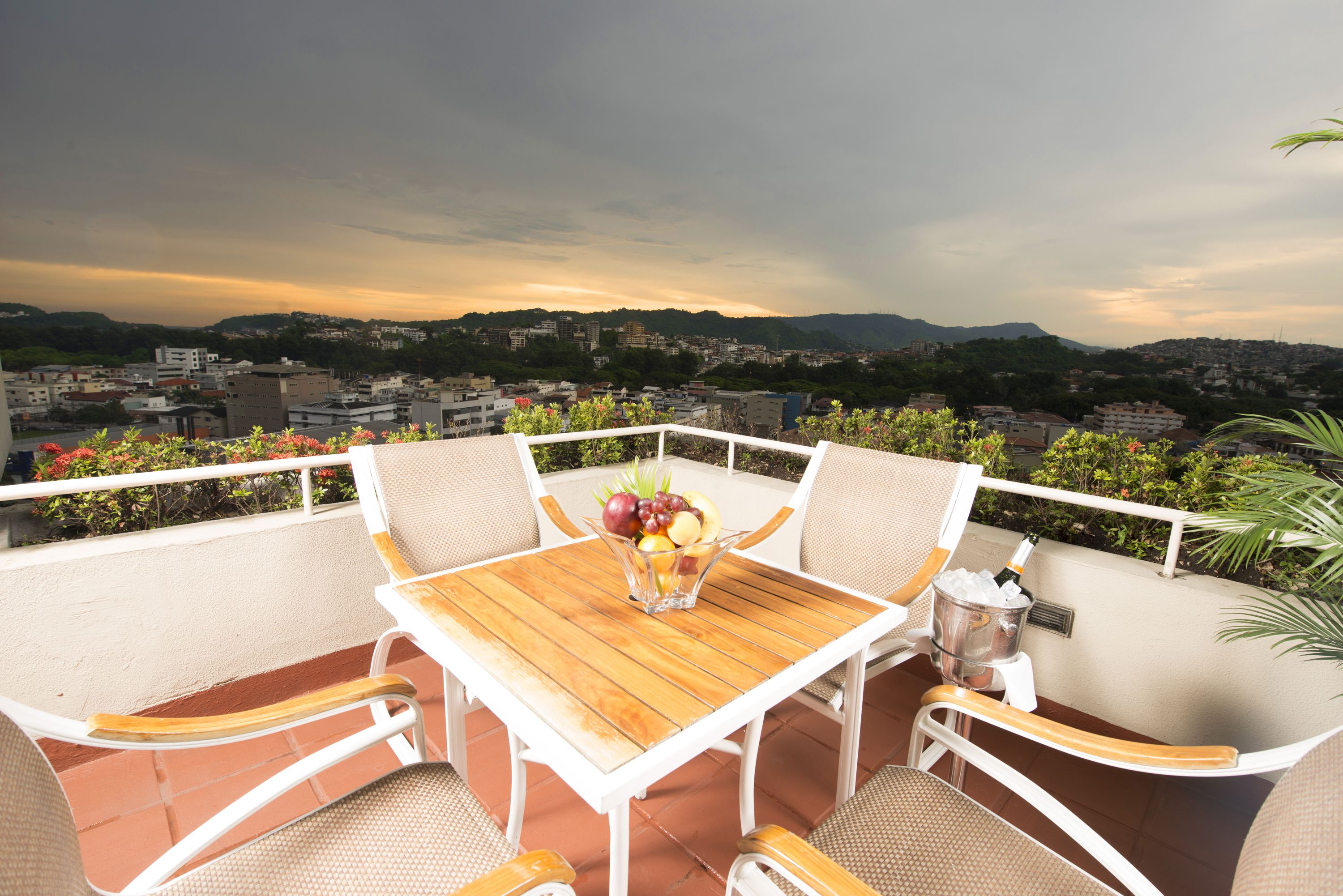 Vista desde la propiedad