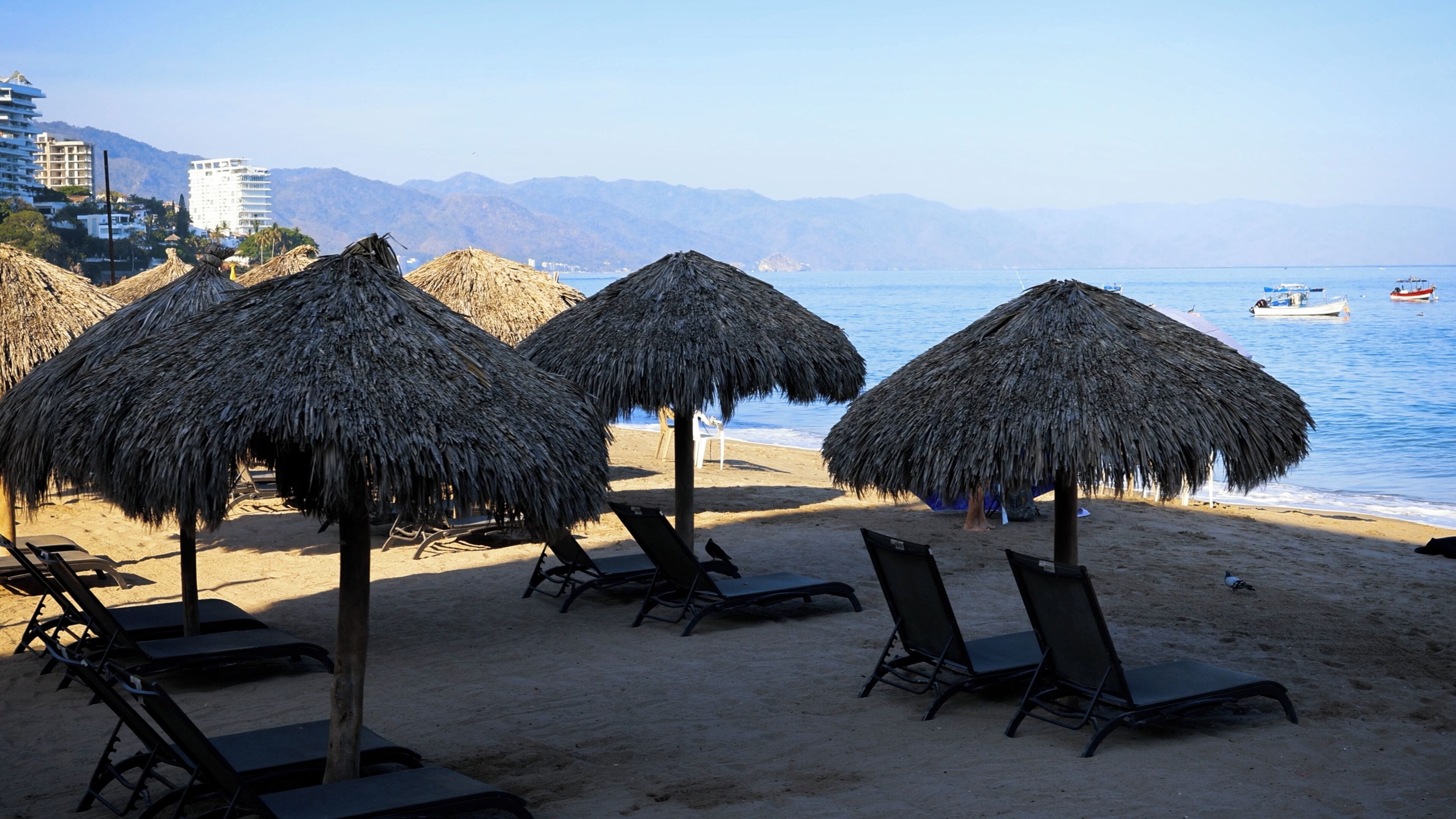Foto - Delfin Pv Beach Resort
