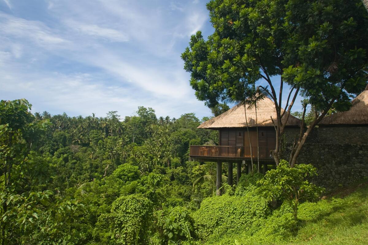 A treehouse with a thatched roof, elevated on stilts, surrounded by lush greenery.