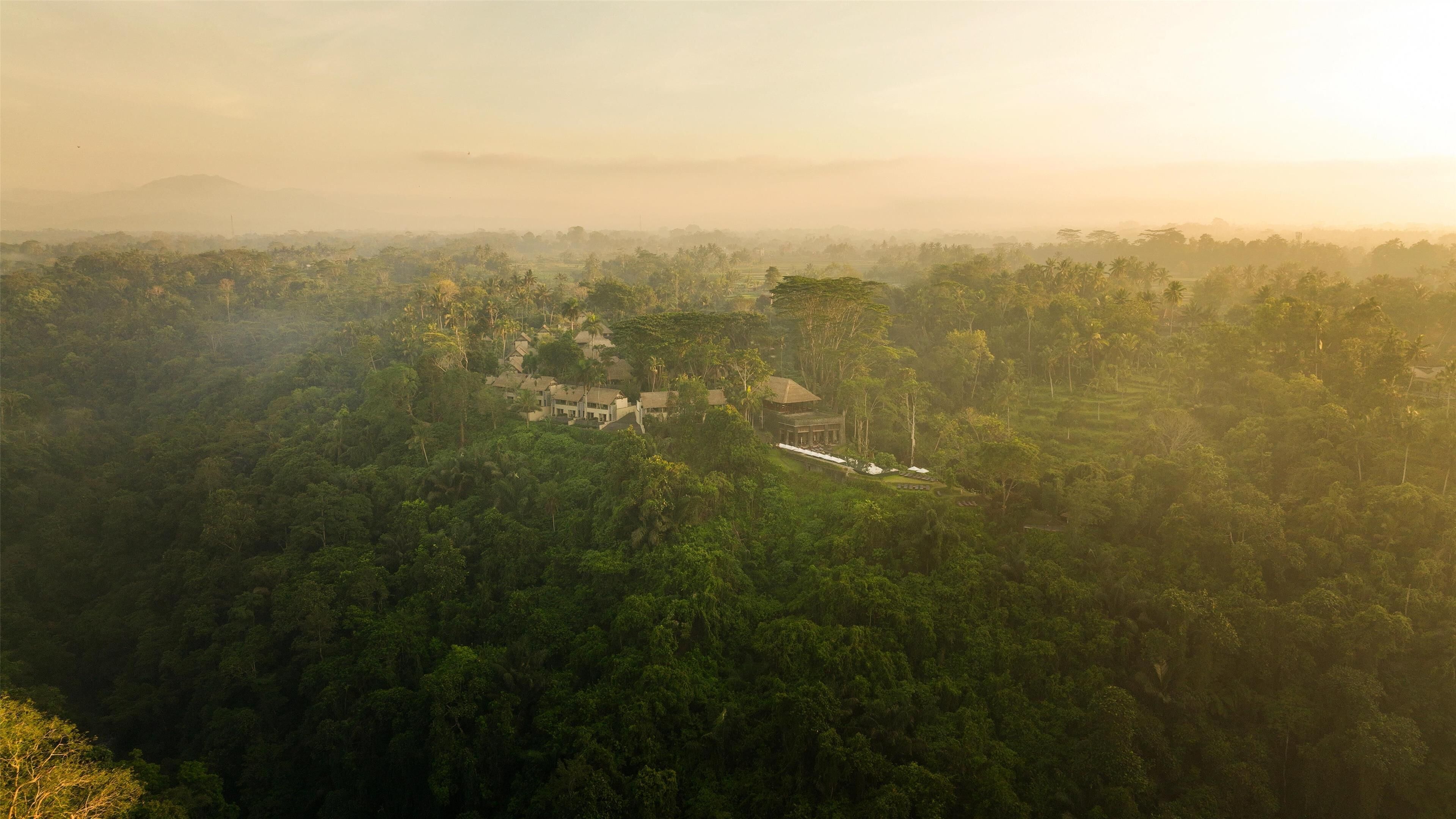 A lush, green landscape with a cluster of buildings surrounded by dense vegetation.