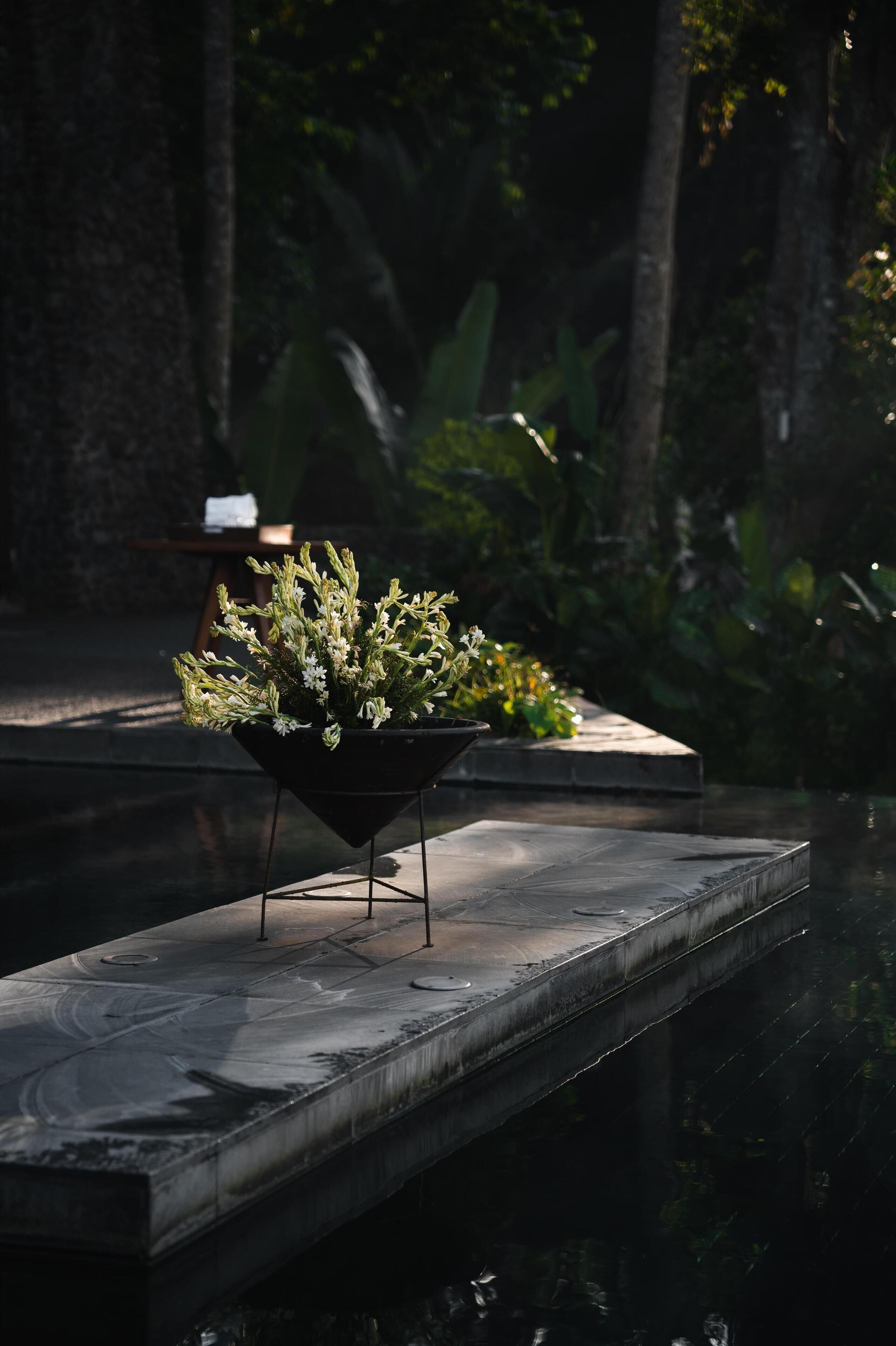 A black planter with white flowers on a concrete ledge by a water feature.