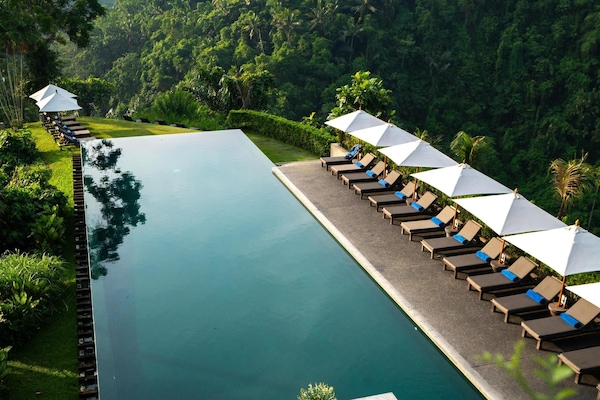 Piscine extérieure, chaises longues