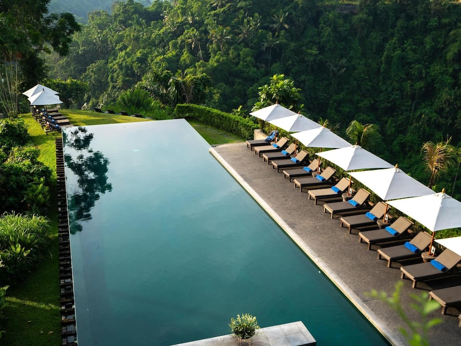 Outdoor pool, sun loungers