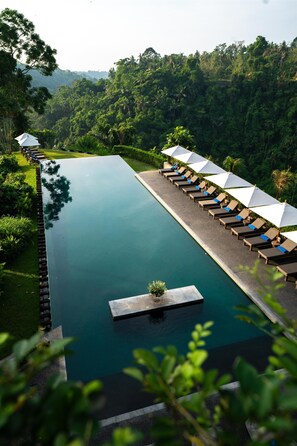 A long, rectangular swimming pool with lounge chairs and umbrellas along one side, surrounded by lush greenery.