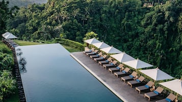 A long, narrow swimming pool with lounge chairs and umbrellas along one side, surrounded by lush greenery.