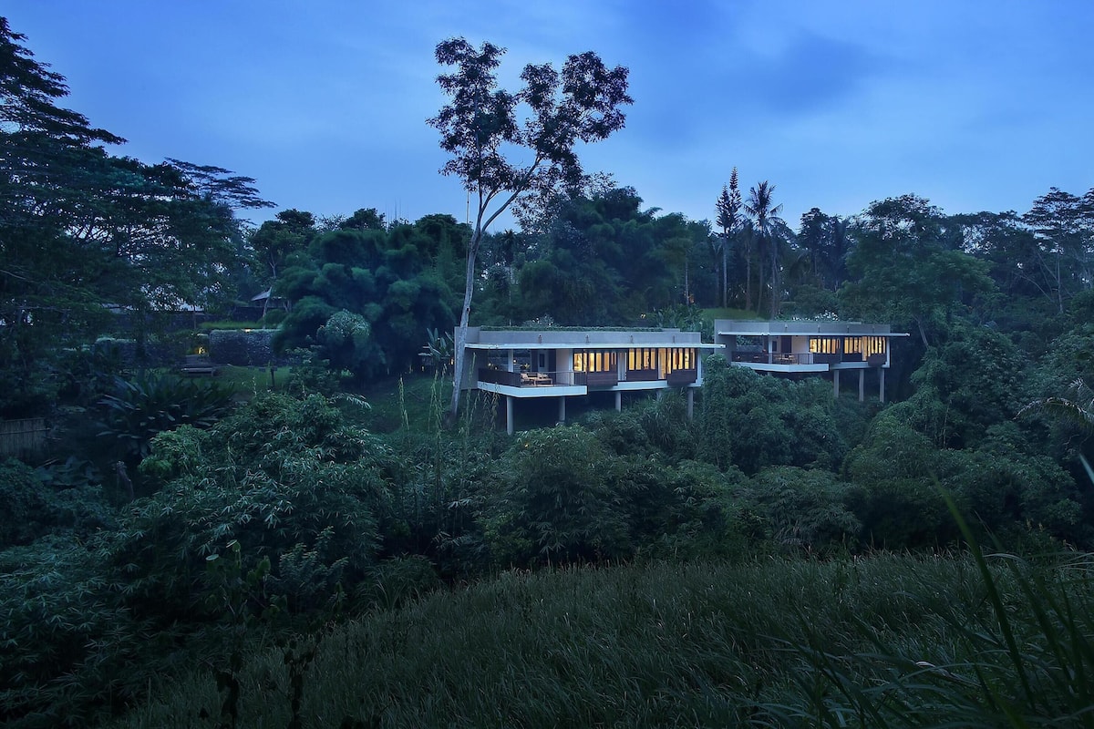 A modern two-story house surrounded by dense tropical vegetation.