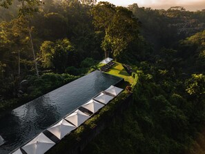 An infinity pool with white umbrellas and lounge chairs, surrounded by lush greenery and trees. - Alila Ubud. Bali (Ubud)