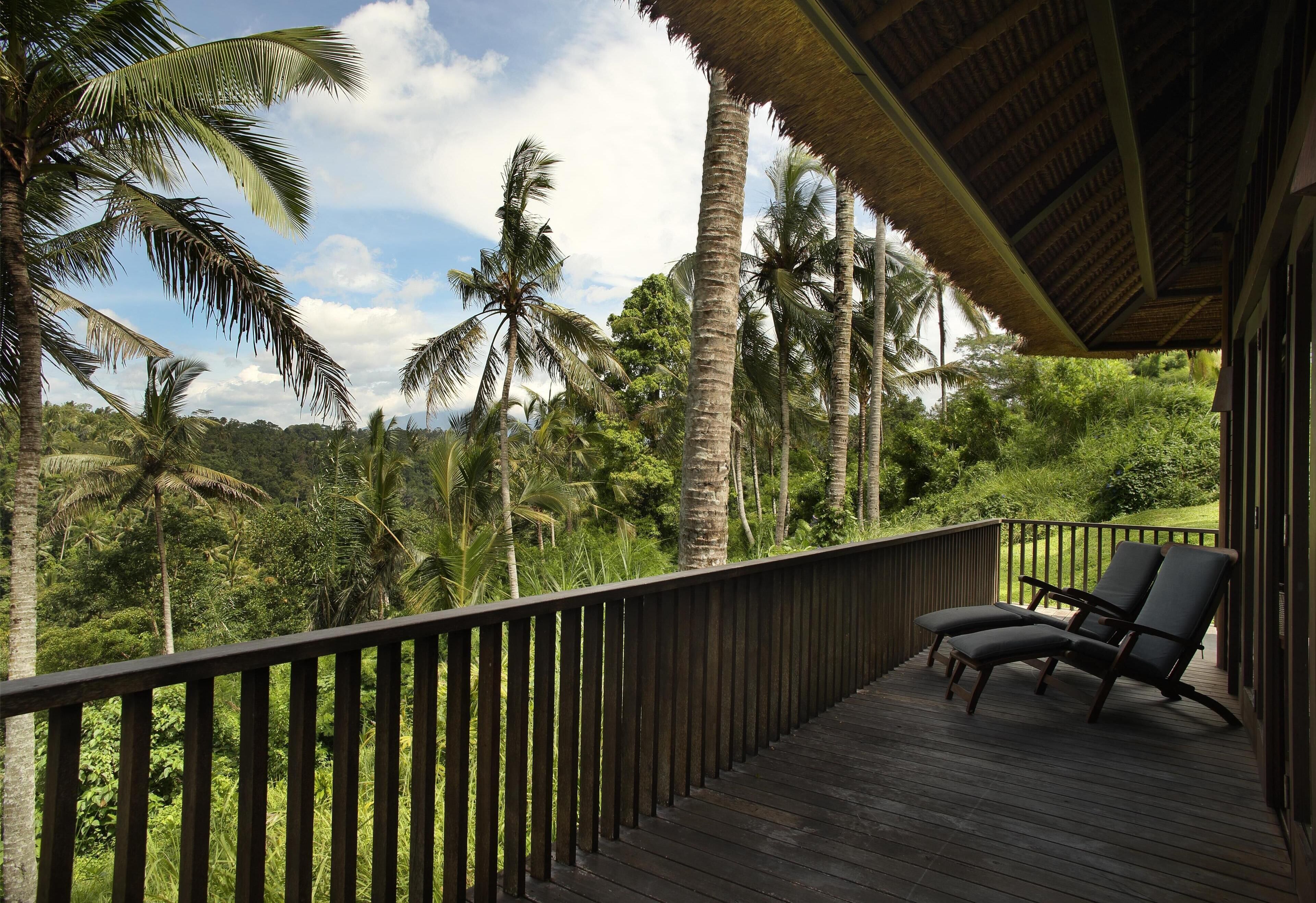 A wooden deck with two lounge chairs, overlooking a lush landscape with palm trees and a clear sky.