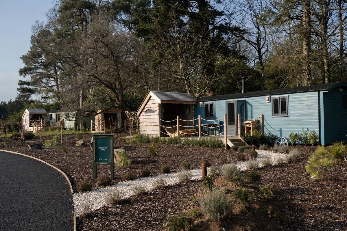 A row of cabins with a gravel path leading to them, surrounded by trees.