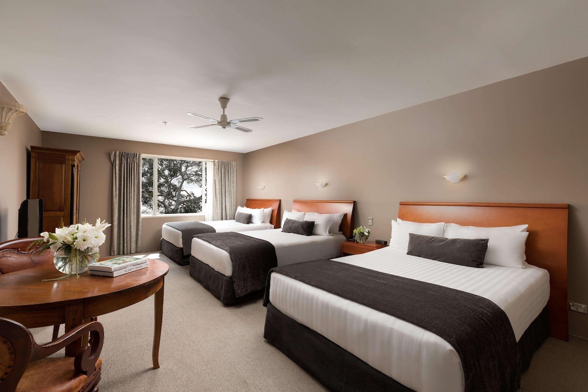 Minibar, blackout drapes, iron/ironing board, WiFi (free)