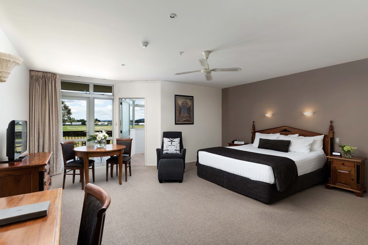 Minibar, blackout drapes, iron/ironing board, WiFi (free)