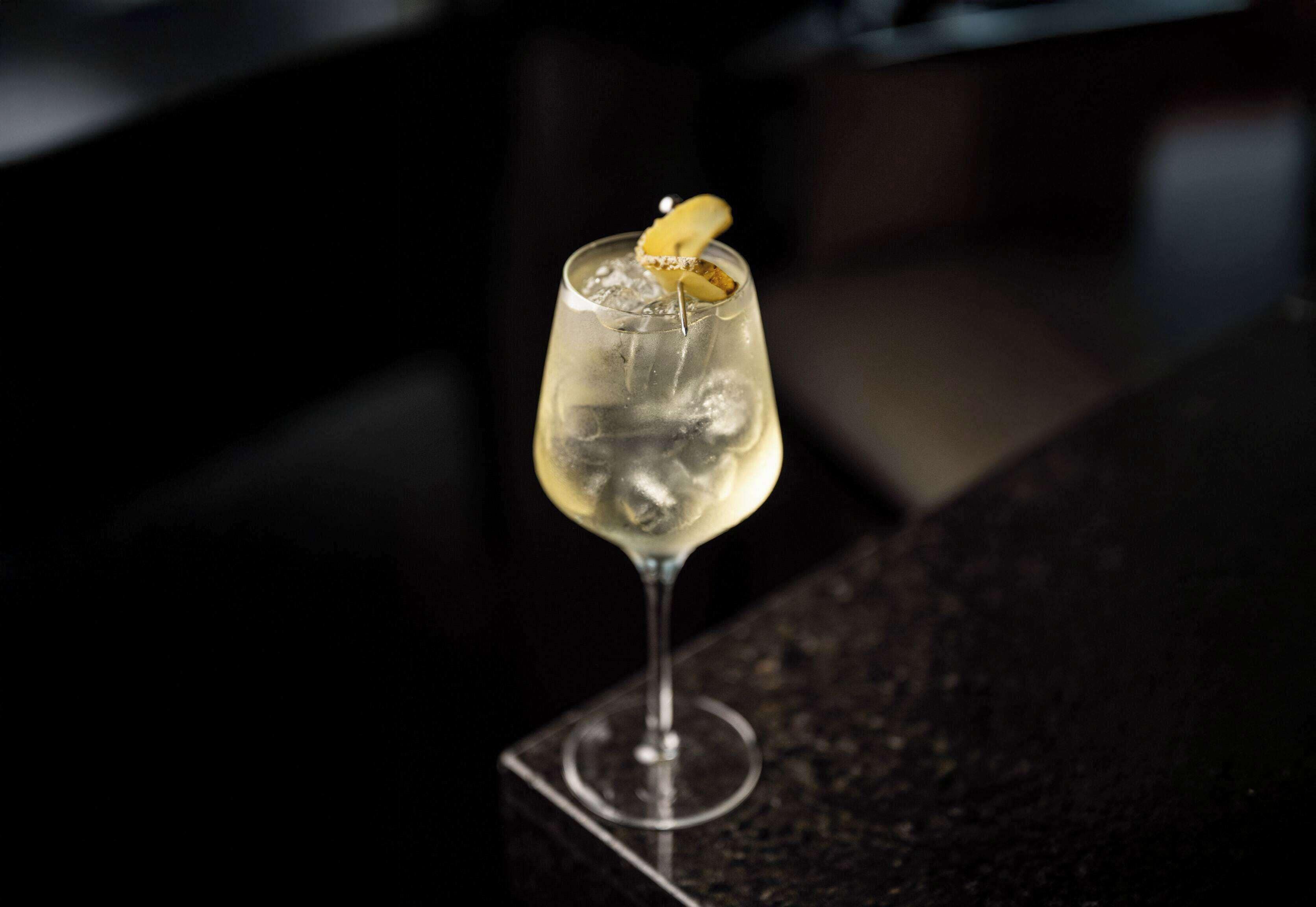 A glass of a light-colored beverage with ice cubes and a lemon slice garnish on a dark surface.