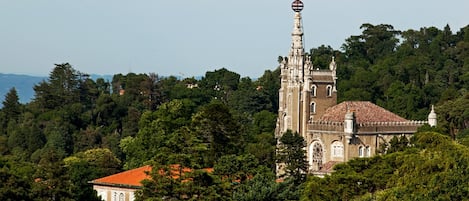 Una iglesia histórica con un alto campanario, rodeada por un bosque frondoso y un edificio más pequeño con techo rojo.