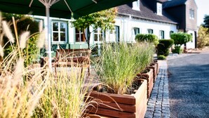 Eine Reihe Holzkästen mit hochwachsendem Gras und einem grünen Sonnenschirm.