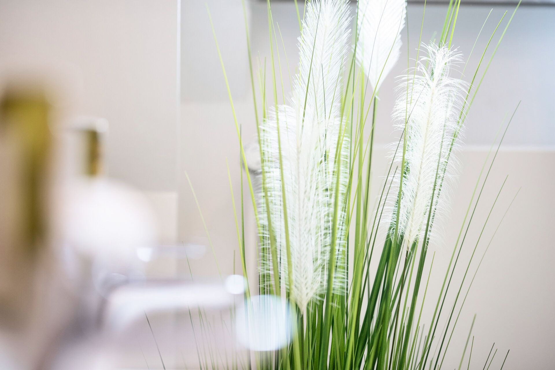 Un baño con un lavamanos blanco y una planta de hojas verdes largas y puntas blancas y esponjosas.