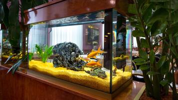 Un acuario con peces y plantas acuáticas.