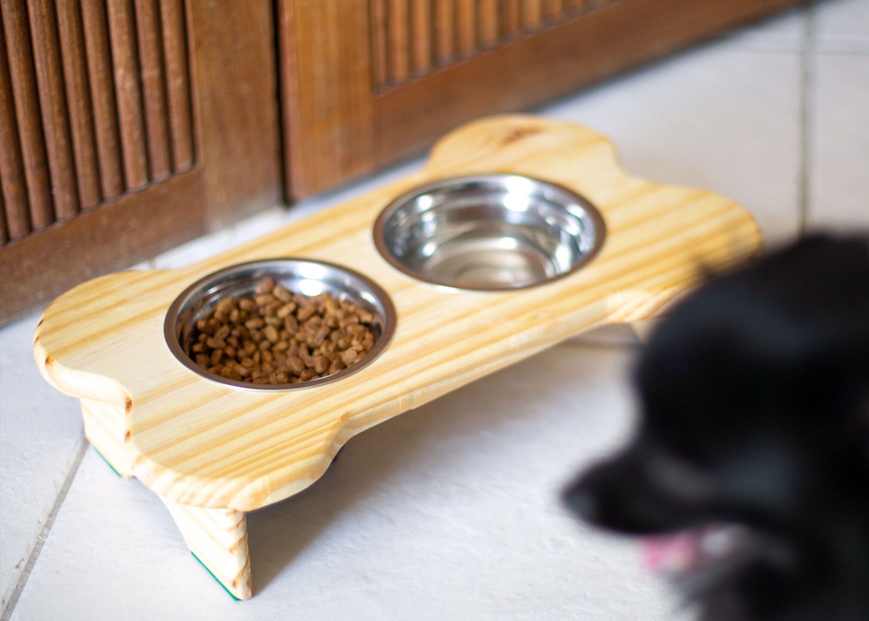 pet-friendly amenities