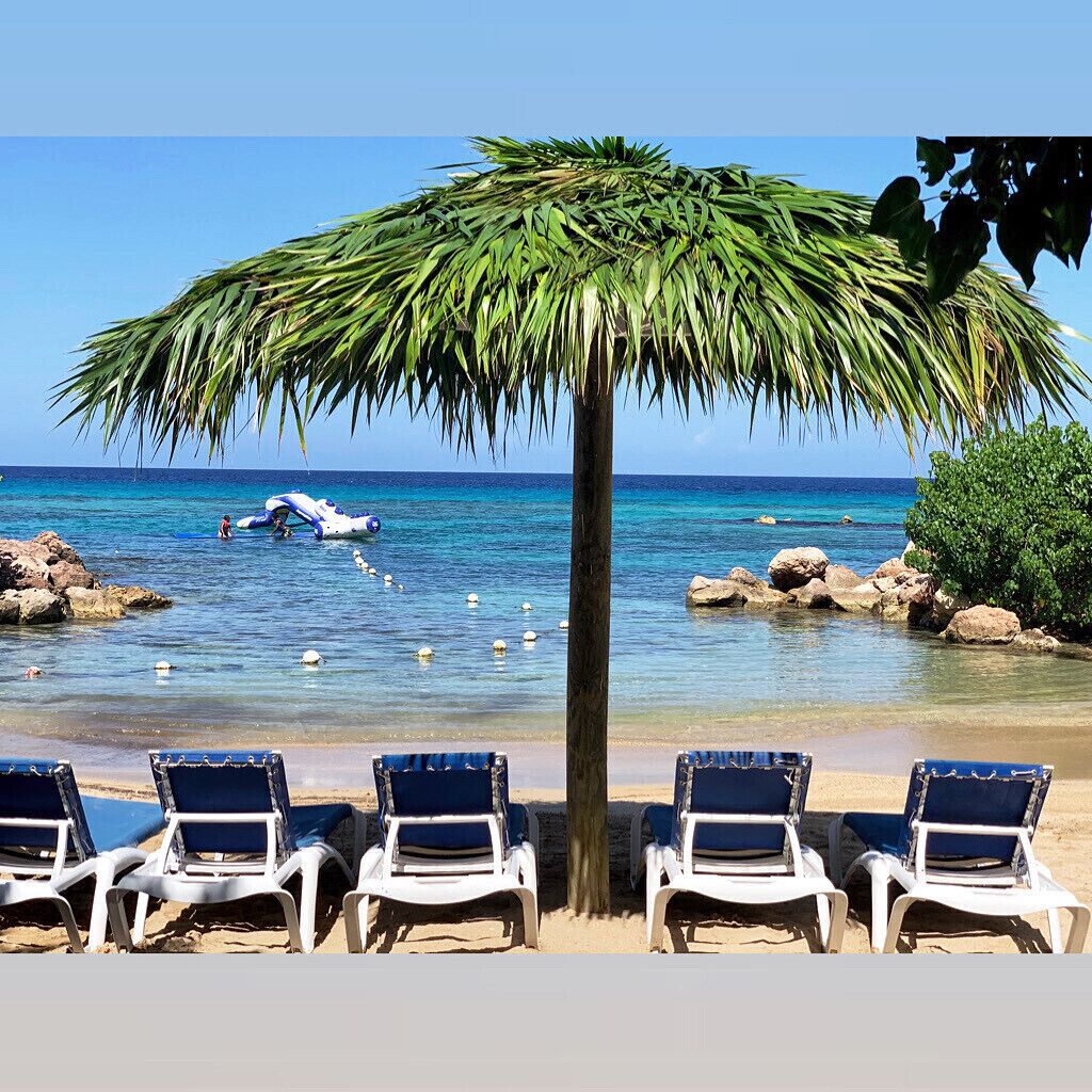 Une plage avec une eau d’un bleu limpide, un palmier et plusieurs chaises longues blanches.