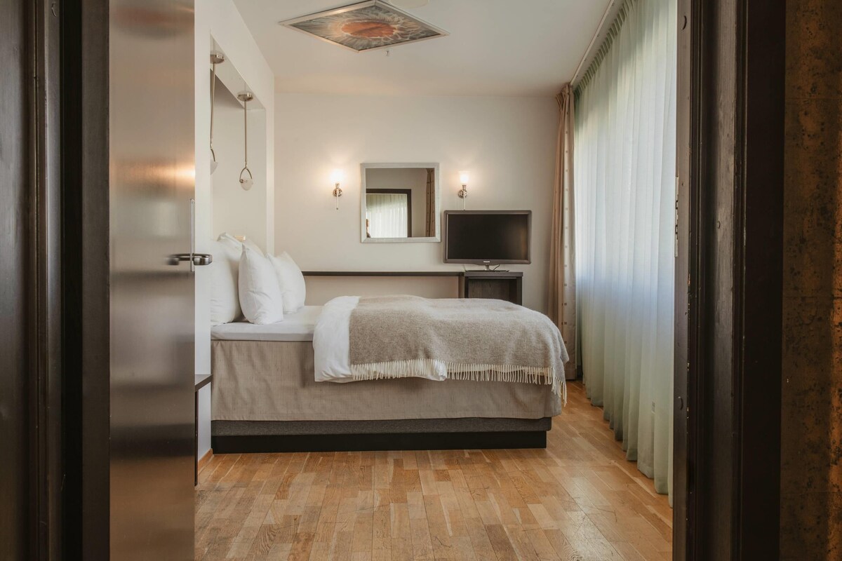 A bedroom with a bed, a television, a mirror, and a window with curtains.