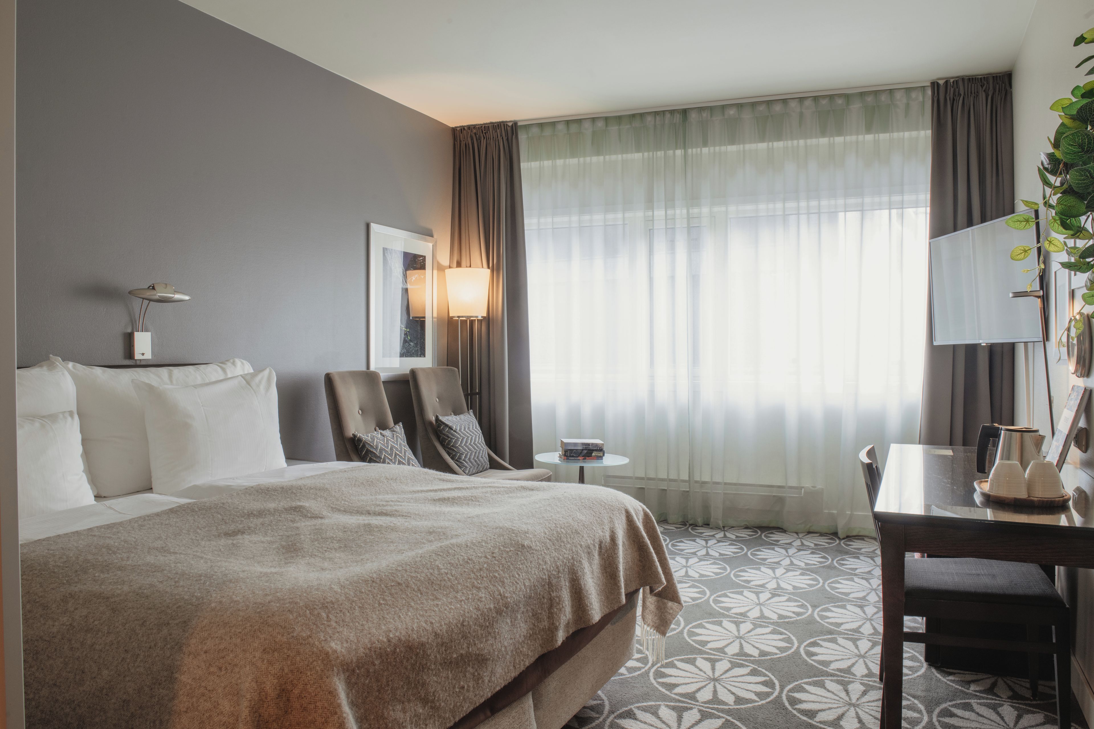 A hotel room with a bed, a desk, a chair, a lamp, and a plant.