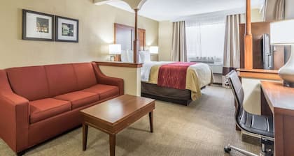 Comfort Inn Nashville West