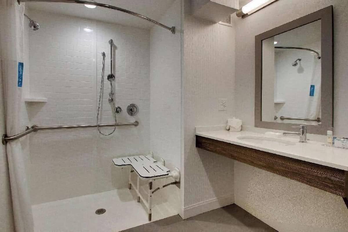 Bathroom | Combined shower/tub, free toiletries, hair dryer, towels