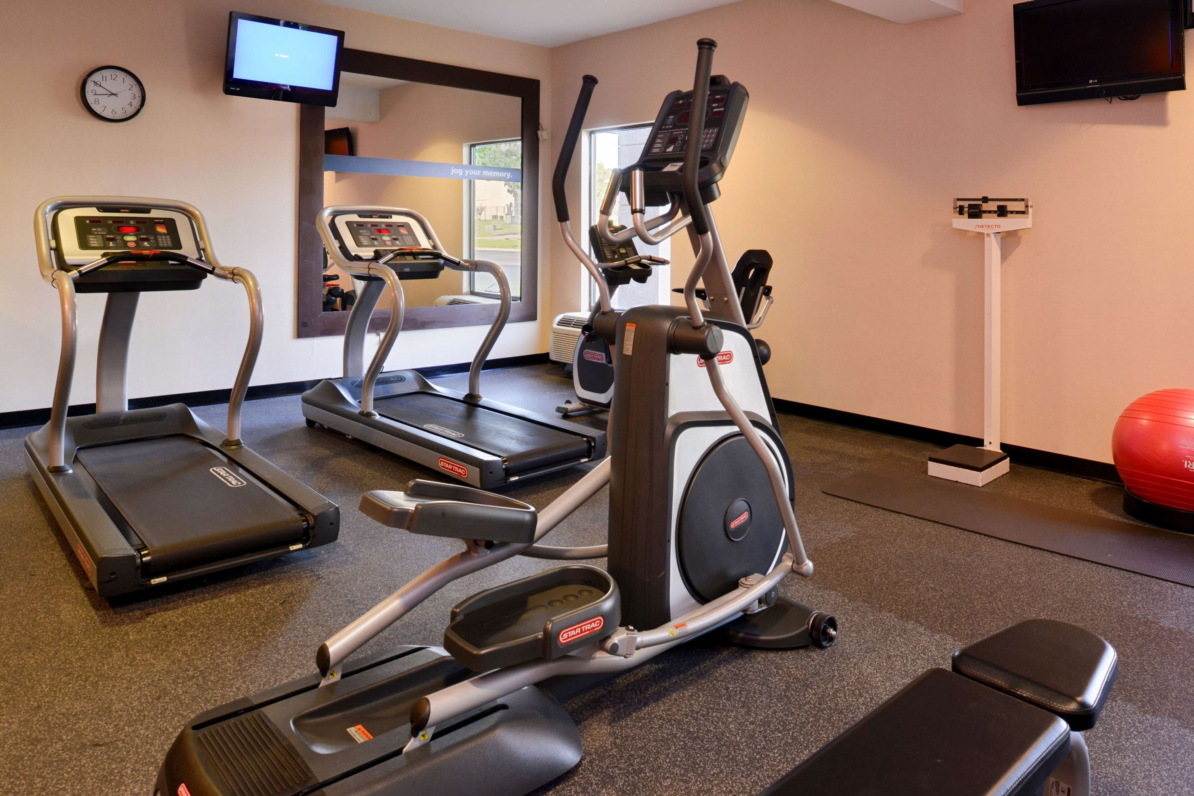 Ein Fitnessstudio mit Laufbändern, Crosstrainern, einem Ergometer und einem roten Trainingsball.