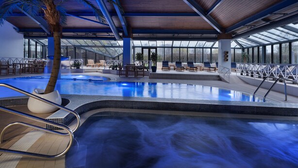 Una piscina interior con techo de madera, zonas de estar y una palmera.