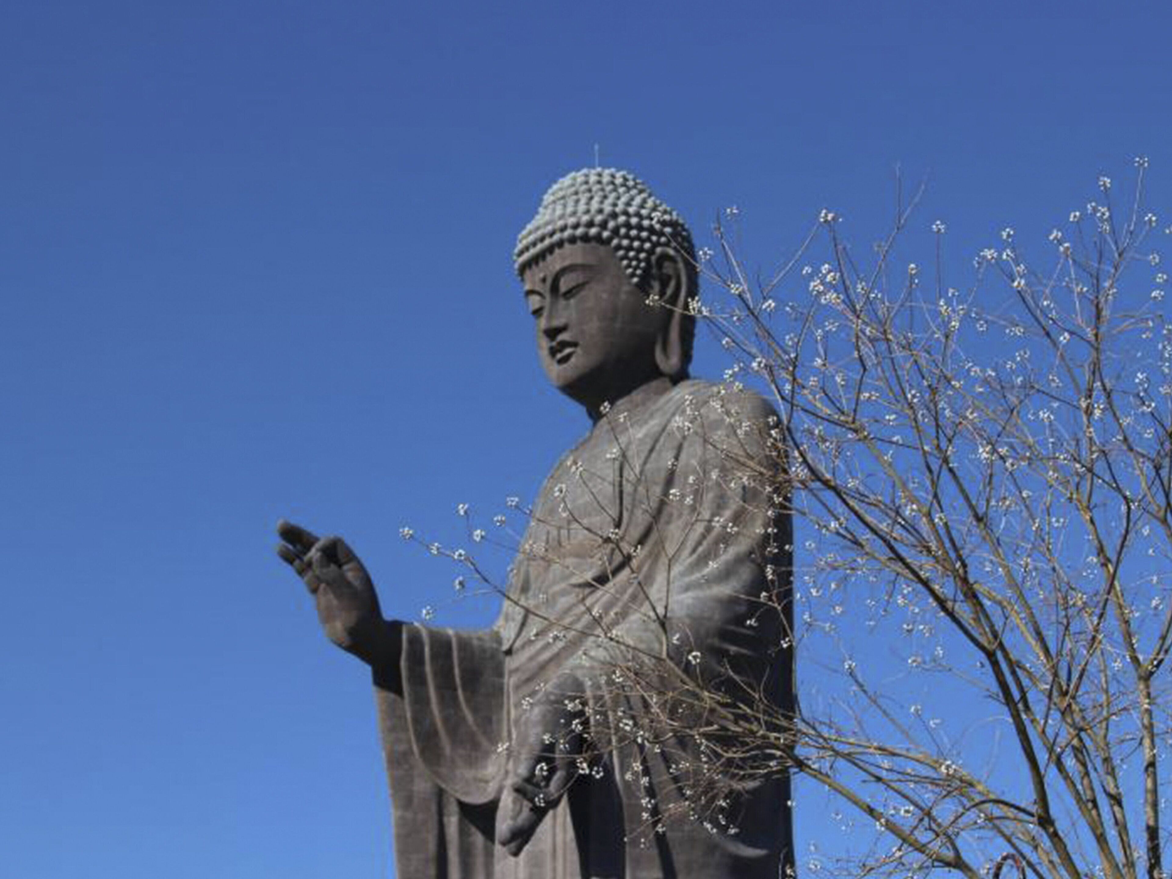 A large statue of a seated figure with a serene expression, surrounded by bare branches with small white flowers.