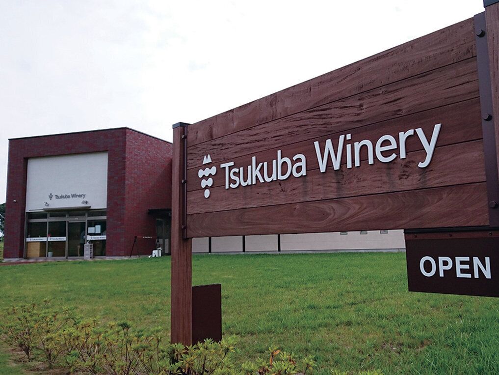 Winery